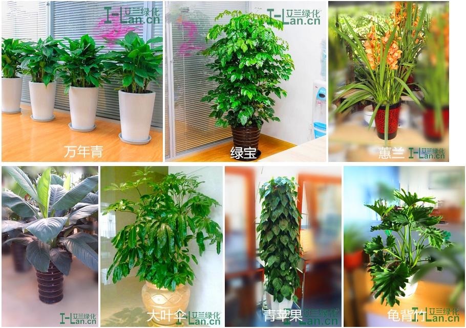 中国·威尼斯8040(股份)有限公司-官方网站