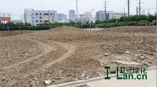 绿地造型平整